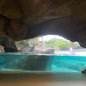 Galápagos Islands- California Sea Lion Enclosure