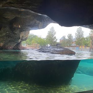 Galápagos Islands- California Sea Lion Enclosure