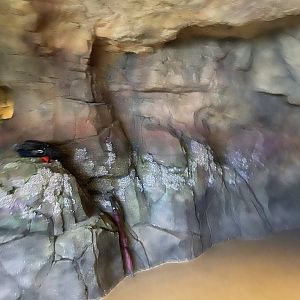 Galápagos Islands- Submerged Worlds