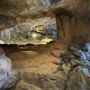 Galápagos Islands- Sea Lion Enclosure