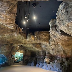 Galápagos Islands- Submerged Worlds