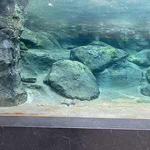 Galápagos Islands- Sea Lion Tunnel