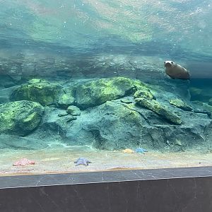 Galápagos Islands- Sea Lion Tunnel