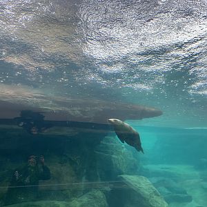 Galápagos Islands- Sea Lion Tunnel