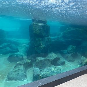 Galápagos Islands- Sea Lion Tunnel