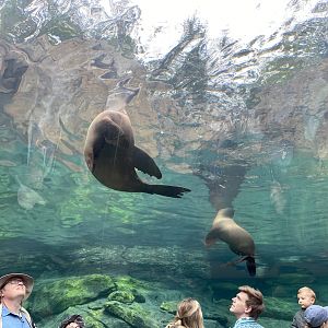 Galápagos Islands- Sea Lion Tunnel