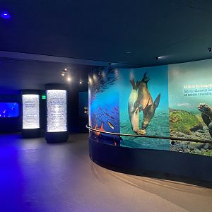 Galápagos Islands- Our Shared Ocean