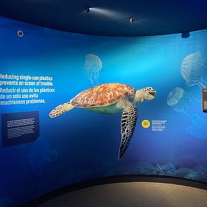 Galápagos Islands- Our Shared Ocean