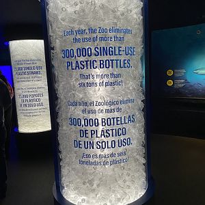 Galápagos Islands- Plastic Bottle Enclosure