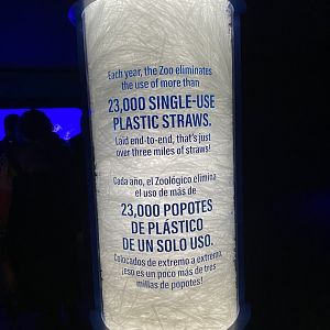 Galápagos Islands- Plastic Straw Enclosure