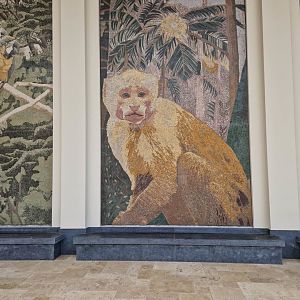 Capuchin hand made mosaic