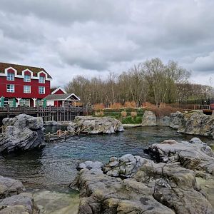 Steller Sea Lion exhibit