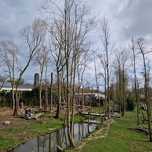 Brown Bear/Grey Wolf exhibit