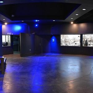 Apr. 2023 - Night Hunters - Rotunda Panorama