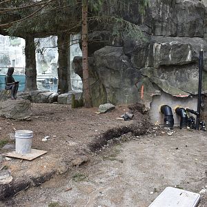 Apr. 2023 - Black Bear Ridge - Current Arctic Fox + Future Sea Otter View