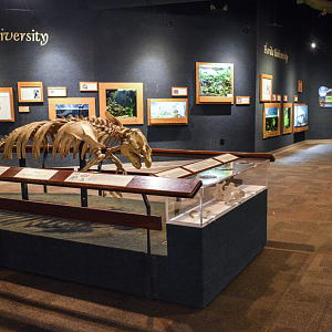 Apr. 2023 - Manatee Springs - Florida Biodiversity