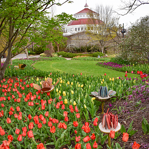 Apr. 2023 - Reptile House + Blooms