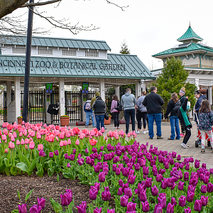 Apr. 2023 - Entrance + Blooms
