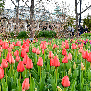 Apr. 2023 - Entrance + Blooms