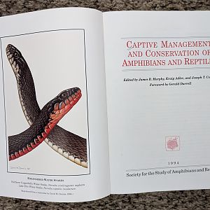 Captive Management of Amphibians and Reptiles