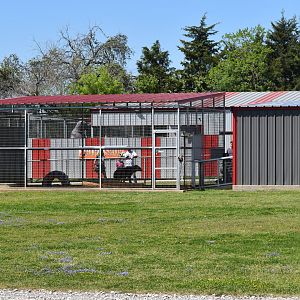 Hyena Enclosure From Afar