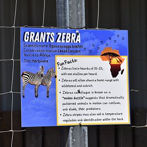 Grants Zebra Educational Sign