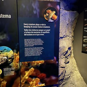 Galápagos Islands- Teamwork Signage