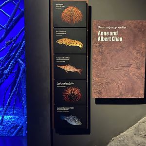 Galápagos Islands- Species List