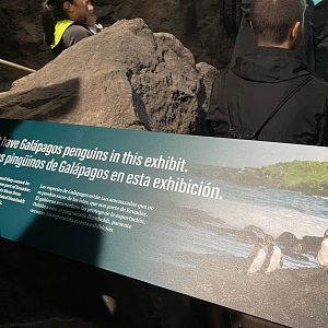 Galápagos Islands- Stand-In Species Sign
