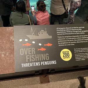 Galápagos Islands- Overfishing Sign