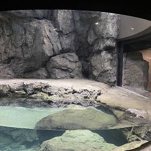 Galápagos Islands- Humboldt Penguin Enclosure