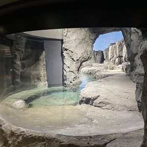 Galápagos Islands- Humboldt Penguin Enclosure