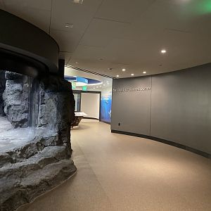 Galápagos Islands- Saving Our Shared Ocean