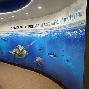 Galápagos Islands- Saving Our Shared Ocean