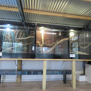 Reptile Enclosures