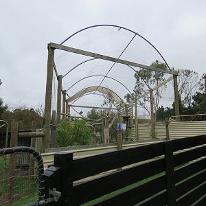 Aviary