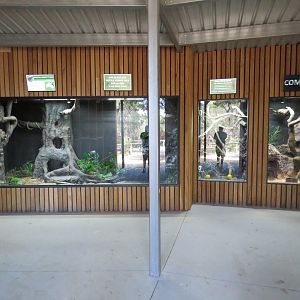 Reptile House
