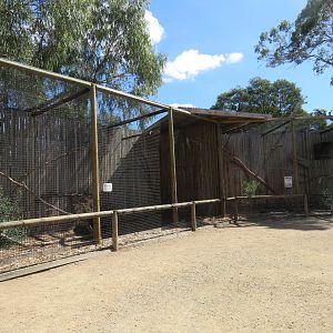 Owl Aviaries