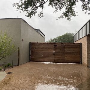 Galápagos Islands- Exit