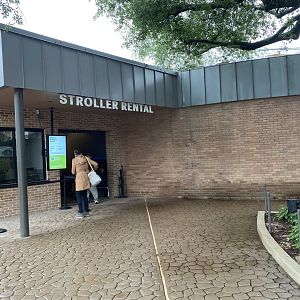 Galápagos Islands- Stroller Rental