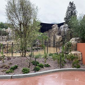 Galápagos Islands- Sea Lion Coast