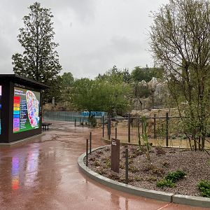 Galápagos Islands- Sea Lion Coast