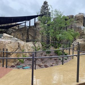 Galápagos Islands- Sea Lion Coast