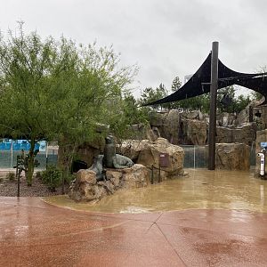 Galápagos Islands- Sea Lion Coast