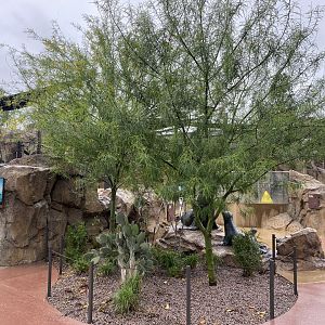 Galápagos Islands- Sea Lion Coast