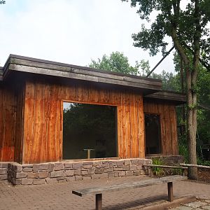 Red-billed quealea, Black-headed weaver and Eurasian hoopoe house, 2022-08-20