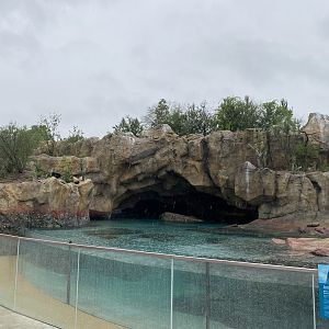 Galápagos Islands- California Sea Lion Enclosure
