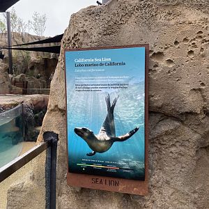 Galápagos Islands- California Sea Lion Sign