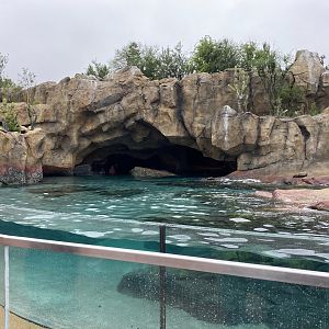 Galápagos Islands- California Sea Lion Enclosure