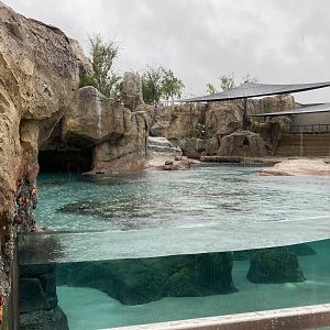 Galápagos Islands- California Sea Lion Enclosure